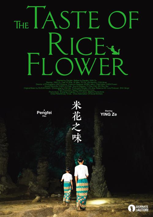 西藏资格证怎么办
